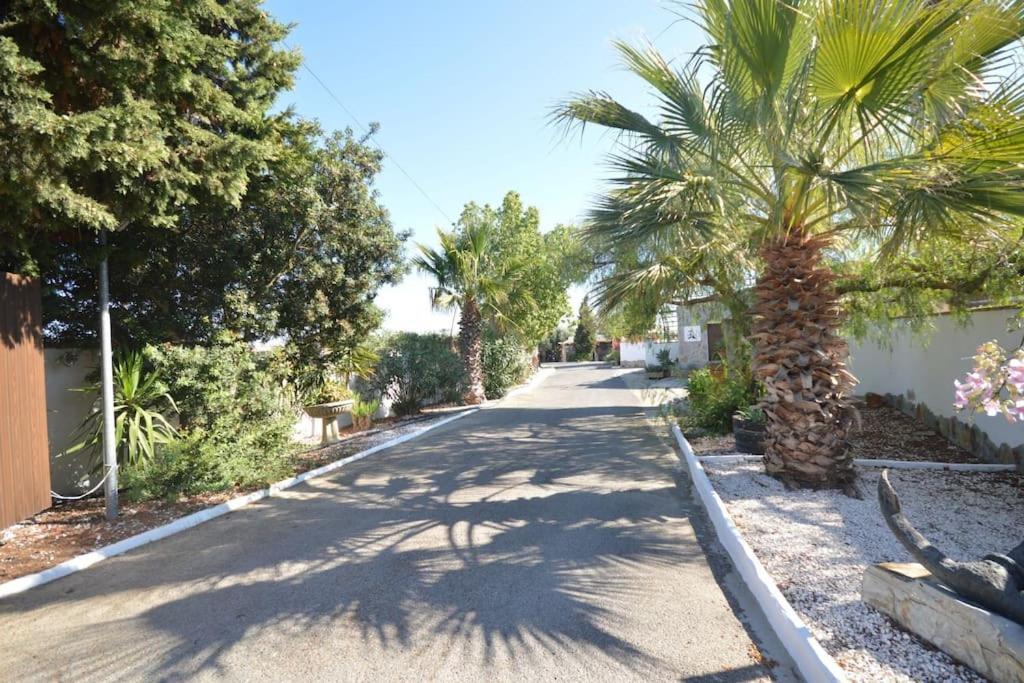 Casas Paqui Y Pablo Con Piscina Compartida En Conil Villa Conil De La Frontera Luaran gambar